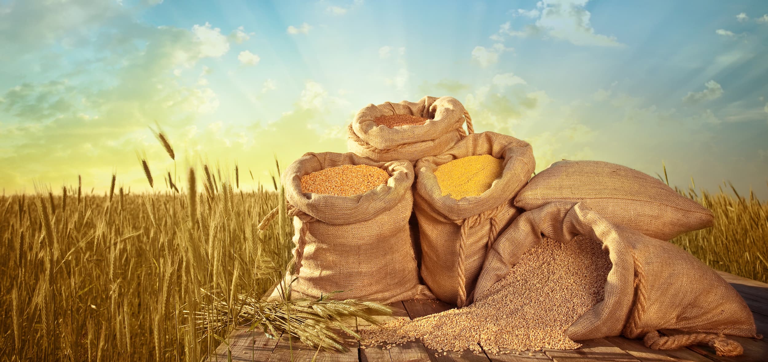 Differential Blessings and Flat Tax