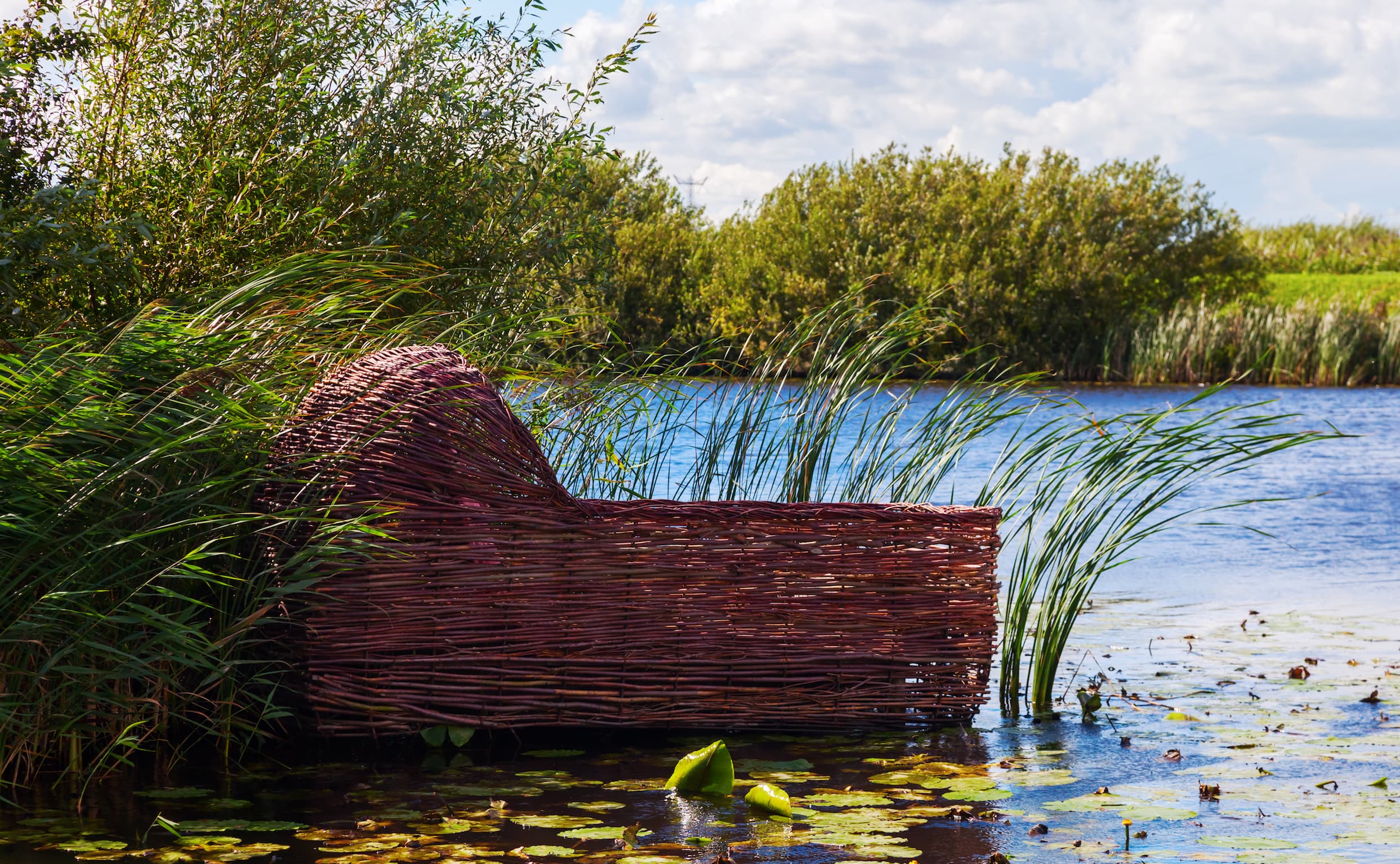 Basket in river